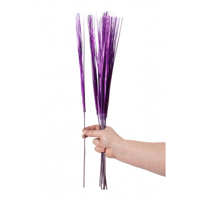 Decorative Onion Grass Purple